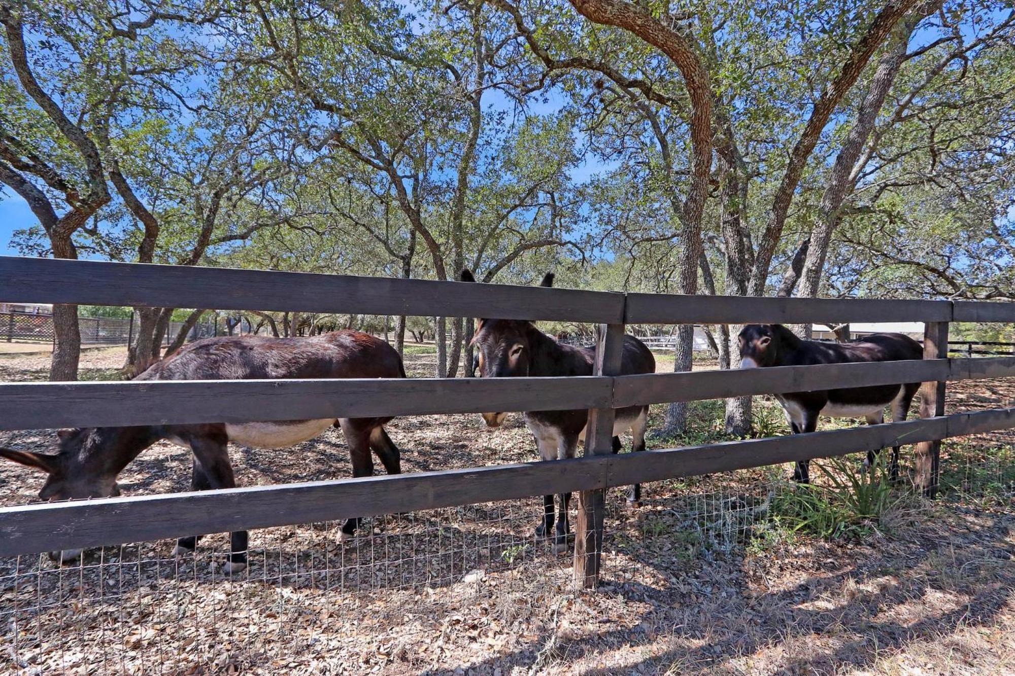 Red Donkey Cottage Wimberley Extérieur photo